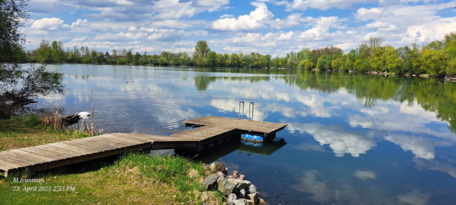 Vereinssteg mit Bojen im Sommerlicht